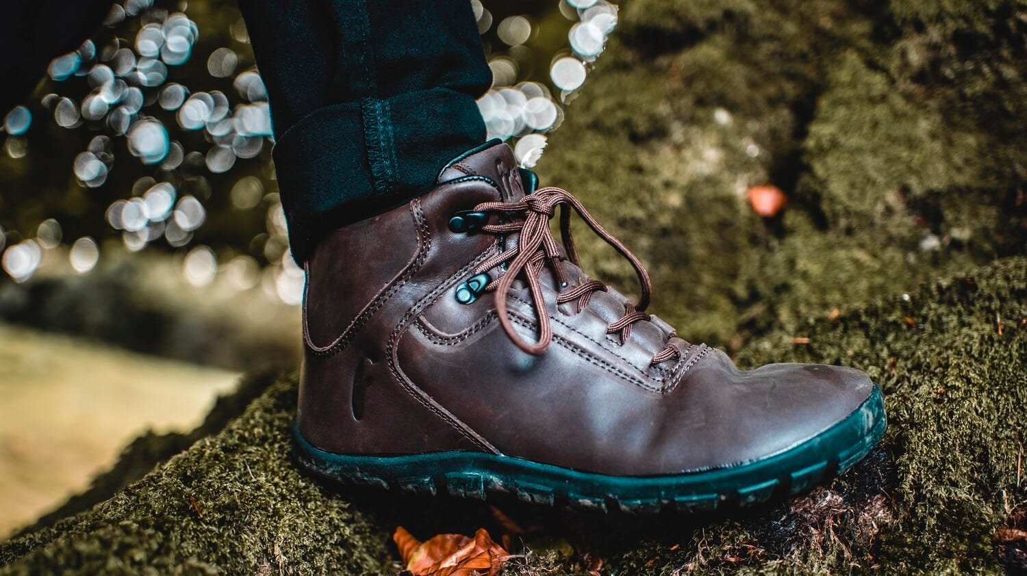 Freet Ibex - Image 3